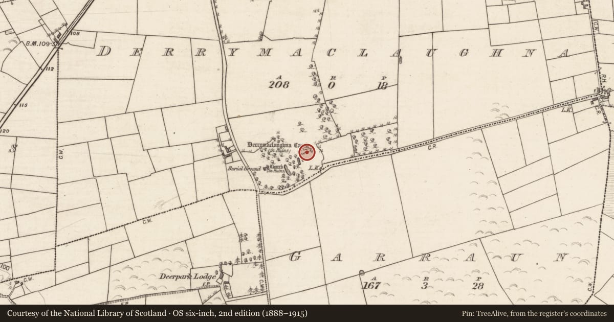 Ordnance Survey six-inch map, 2nd edition (1888–1915) covering the location of Castle - tower house, Derrymaclaughna, County Galway, with a pin at the register's coordinates