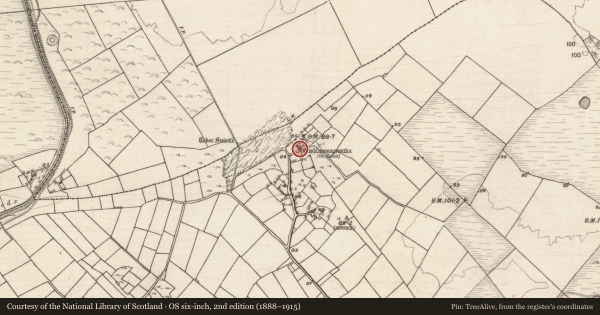 Ordnance Survey six-inch map, 2nd edition (1888–1915) covering the location of Castle - tower house, Grange East, County Galway, with a pin at the register's coordinates