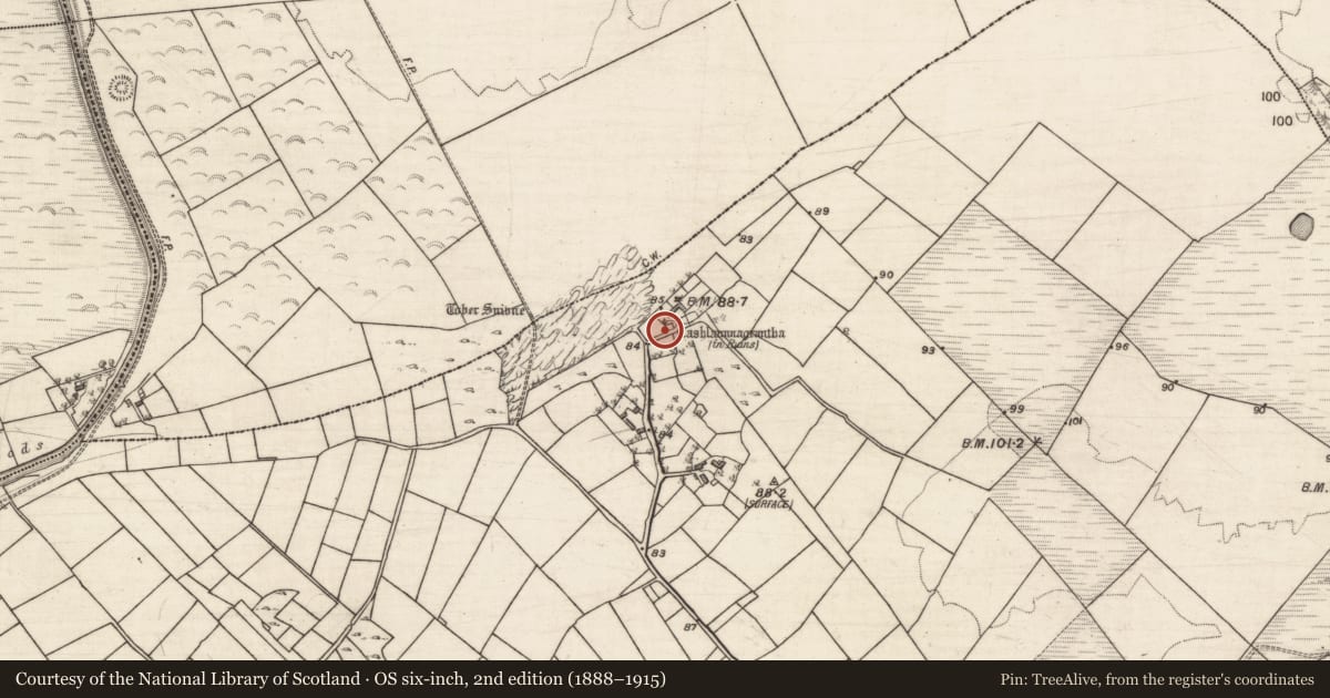 Ordnance Survey six-inch map, 2nd edition (1888–1915) covering the location of Bawn, Grange East, County Galway, with a pin at the register's coordinates
