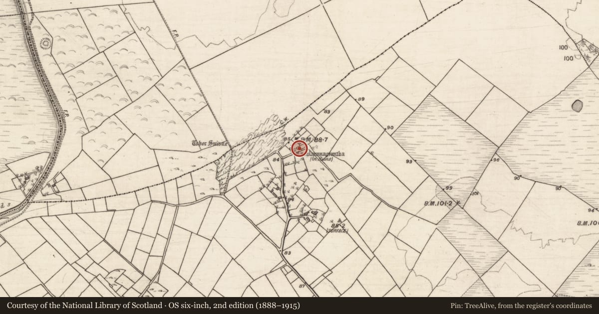 Ordnance Survey six-inch map, 2nd edition (1888–1915) covering the location of Church, Grange East, County Galway, with a pin at the register's coordinates