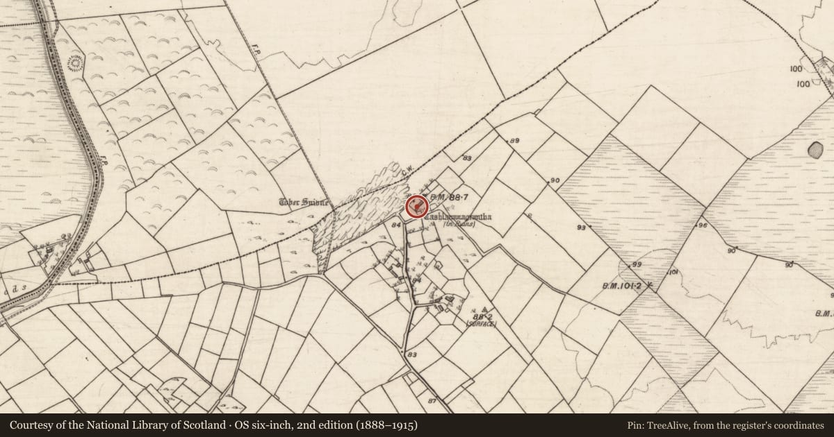 Ordnance Survey six-inch map, 2nd edition (1888–1915) covering the location of Enclosure, Grange East, County Galway, with a pin at the register's coordinates