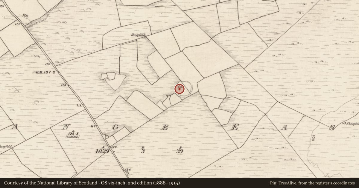 Ordnance Survey six-inch map, 2nd edition (1888–1915) covering the location of Souterrain, Grange East, County Galway, with a pin at the register's coordinates