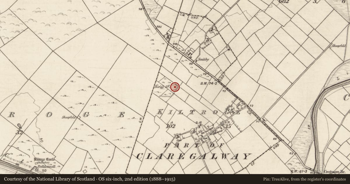 Ordnance Survey six-inch map, 2nd edition (1888–1915) covering the location of Children's burial ground, Cill Torróg, County Galway, with a pin at the register's coordinates