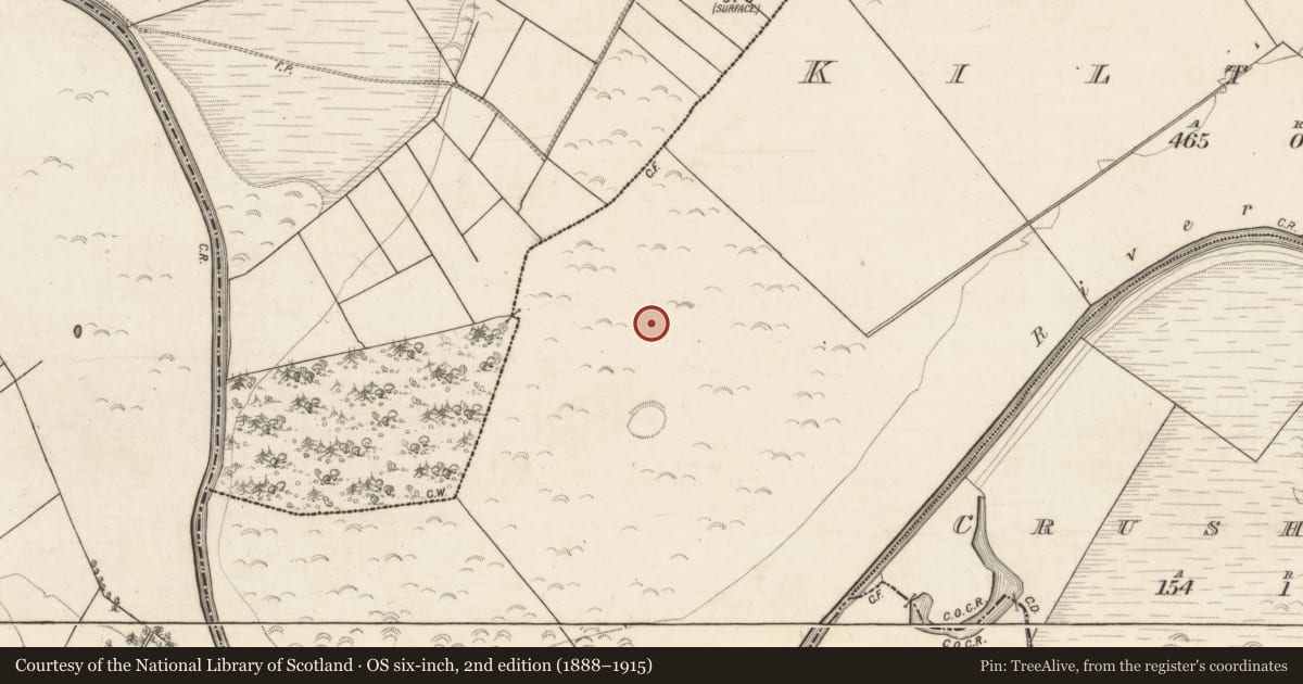Ordnance Survey six-inch map, 2nd edition (1888–1915) covering the location of House - indeterminate date, Cill Torróg, County Galway, with a pin at the register's coordinates
