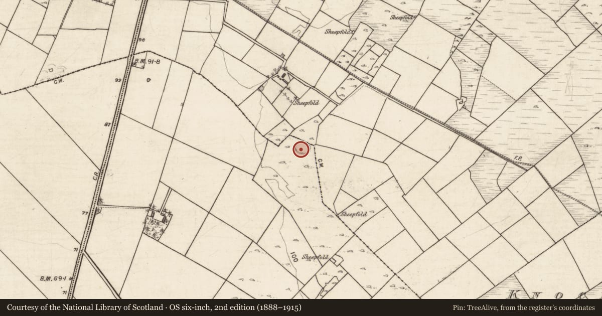 Ordnance Survey six-inch map, 2nd edition (1888–1915) covering the location of Enclosure, Knockdoebeg West, Cnoc Tua Mór, County Galway, with a pin at the register's coordinates