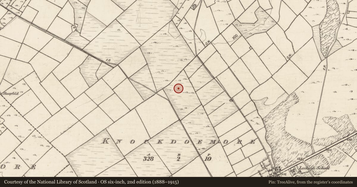 Ordnance Survey six-inch map, 2nd edition (1888–1915) covering the location of Ringfort - unclassified, Knockdoemore, County Galway, with a pin at the register's coordinates