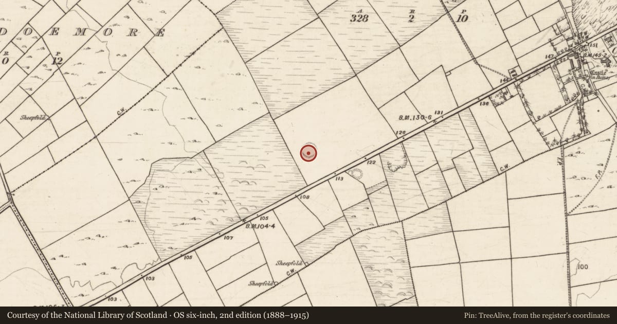 Ordnance Survey six-inch map, 2nd edition (1888–1915) covering the location of Ringfort - unclassified, Knockdoemore, County Galway, with a pin at the register's coordinates