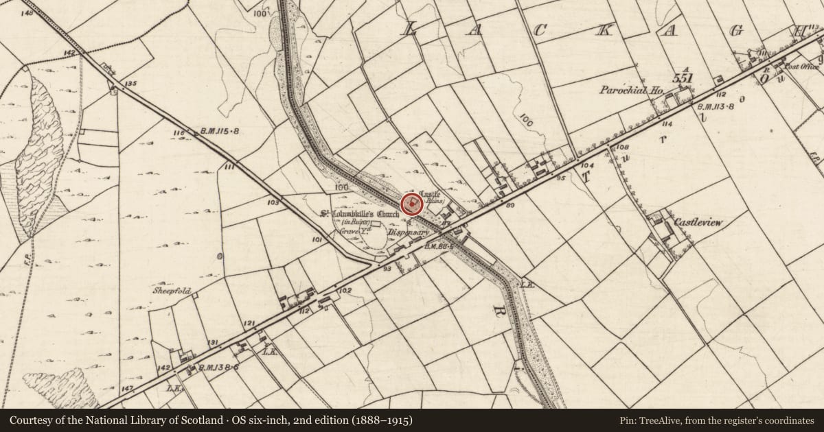 Ordnance Survey six-inch map, 2nd edition (1888–1915) covering the location of Castle - tower house, Lackagh More, County Galway, with a pin at the register's coordinates