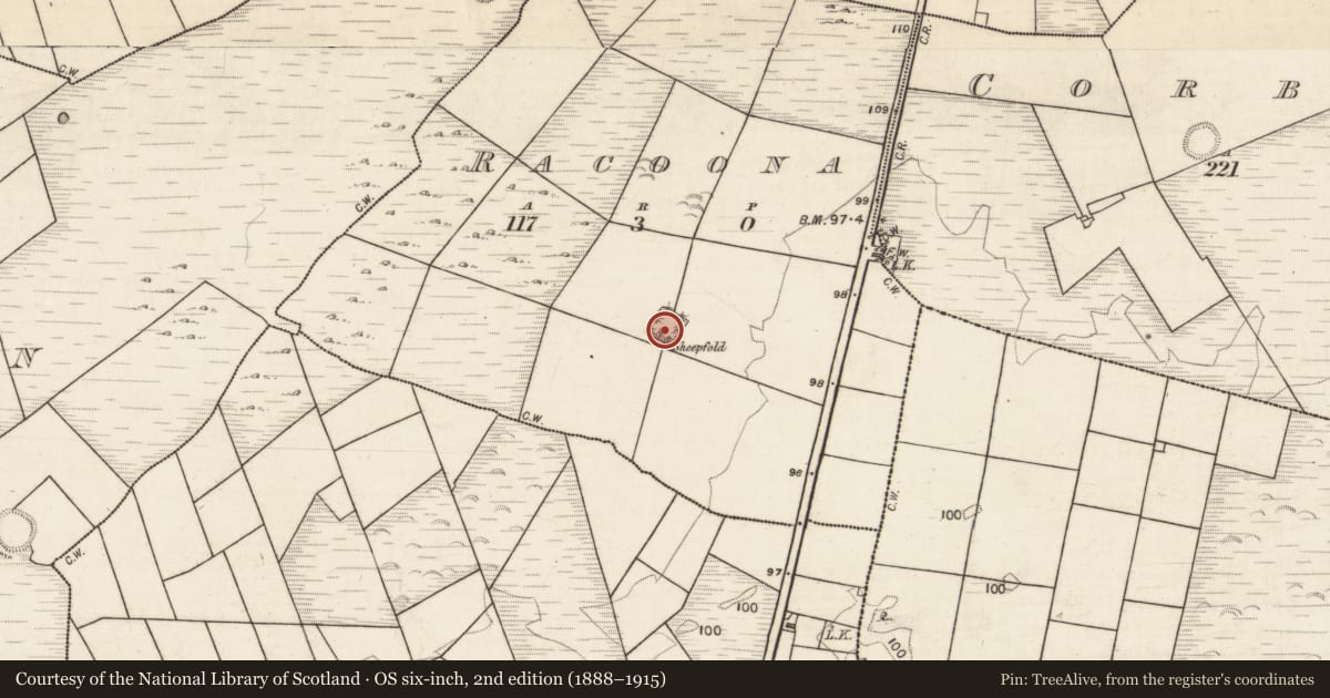 Ordnance Survey six-inch map, 2nd edition (1888–1915) covering the location of Enclosure, Racoona, County Galway, with a pin at the register's coordinates