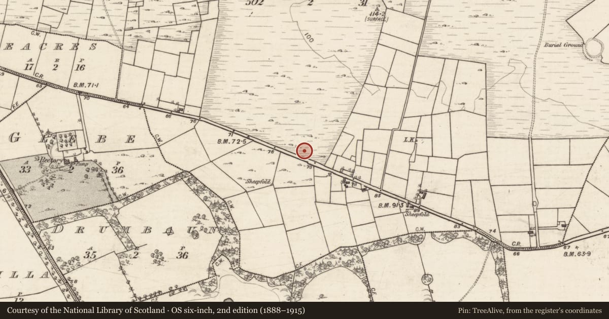 Ordnance Survey six-inch map, 2nd edition (1888–1915) covering the location of Mound, Slievefin, County Galway, with a pin at the register's coordinates