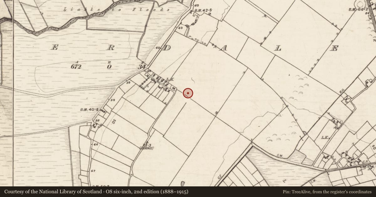 Ordnance Survey six-inch map, 2nd edition (1888–1915) covering the location of Children's burial ground, Eochaill (Bar. Baile Chláir), County Galway, with a pin at the register's coordinates