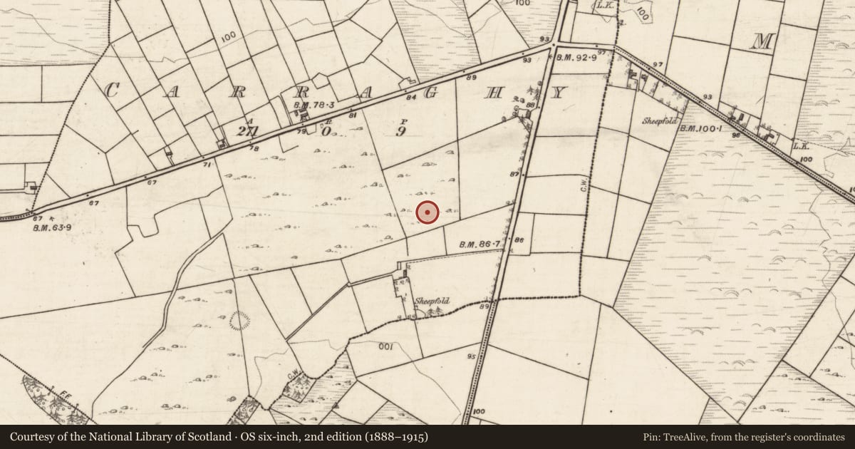 Ordnance Survey six-inch map, 2nd edition (1888–1915) covering the location of Souterrain, Carraghy, County Galway, with a pin at the register's coordinates