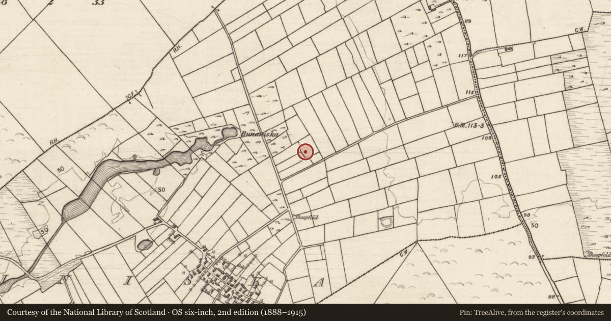 Ordnance Survey six-inch map, 2nd edition (1888–1915) covering the location of Enclosure, Cinn Uisce, County Galway, with a pin at the register's coordinates