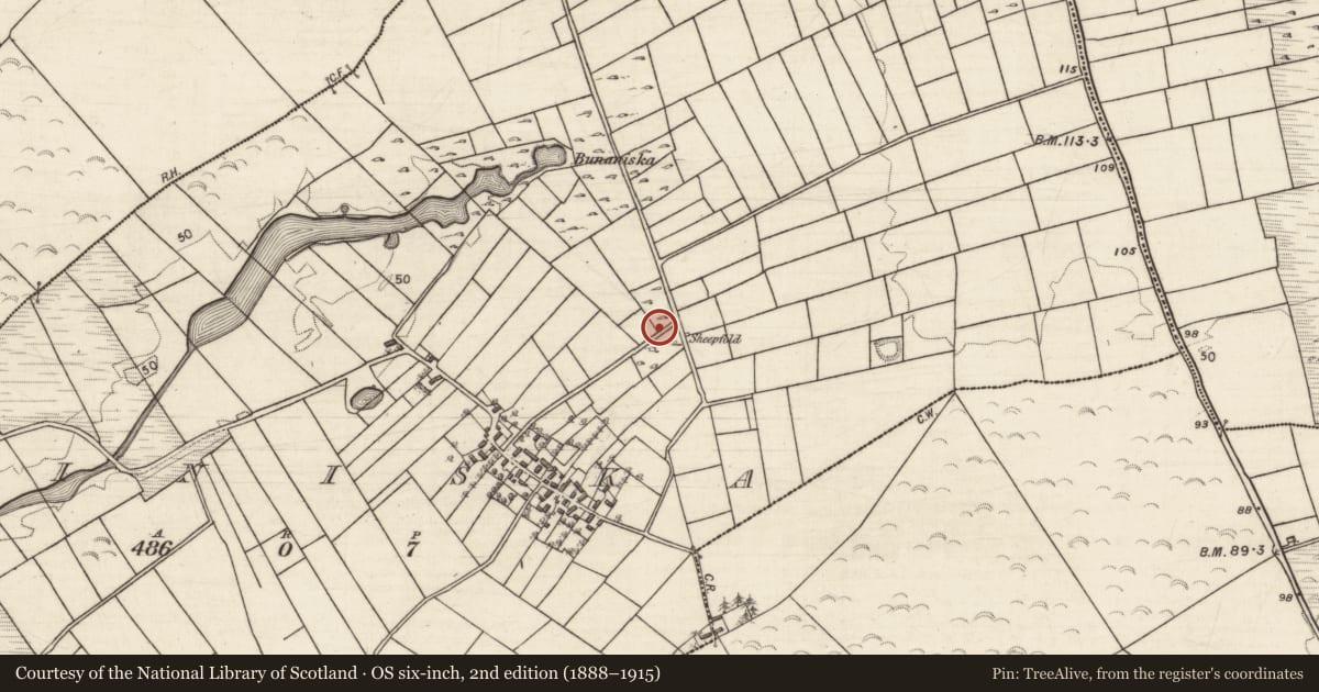 Ordnance Survey six-inch map, 2nd edition (1888–1915) covering the location of Souterrain, Cinn Uisce, County Galway, with a pin at the register's coordinates