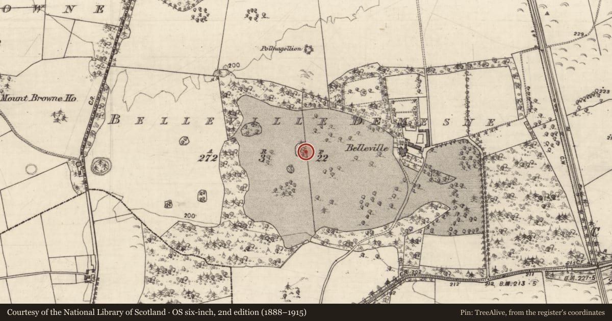 Ordnance Survey six-inch map, 2nd edition (1888–1915) covering the location of Designed landscape - tree-ring, Belleville Demesne, County Galway, with a pin at the register's coordinates