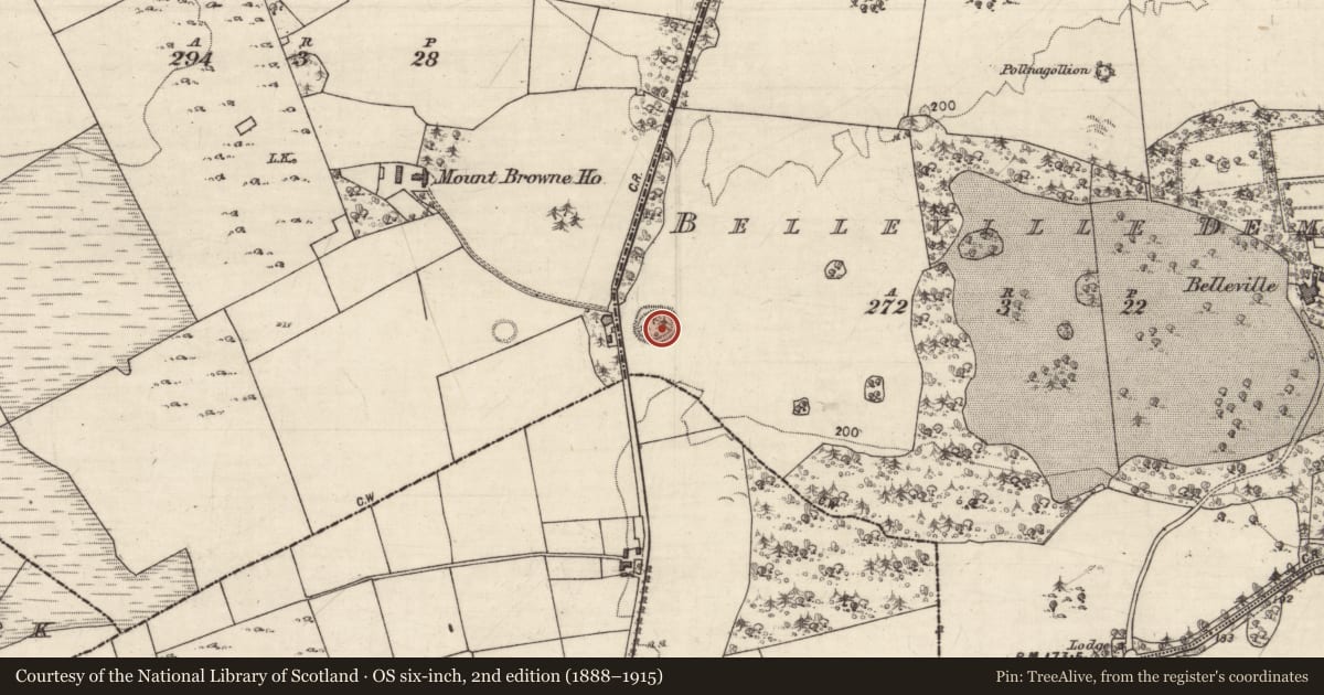Ordnance Survey six-inch map, 2nd edition (1888–1915) covering the location of Ringfort - unclassified, Belleville Demesne, County Galway, with a pin at the register's coordinates