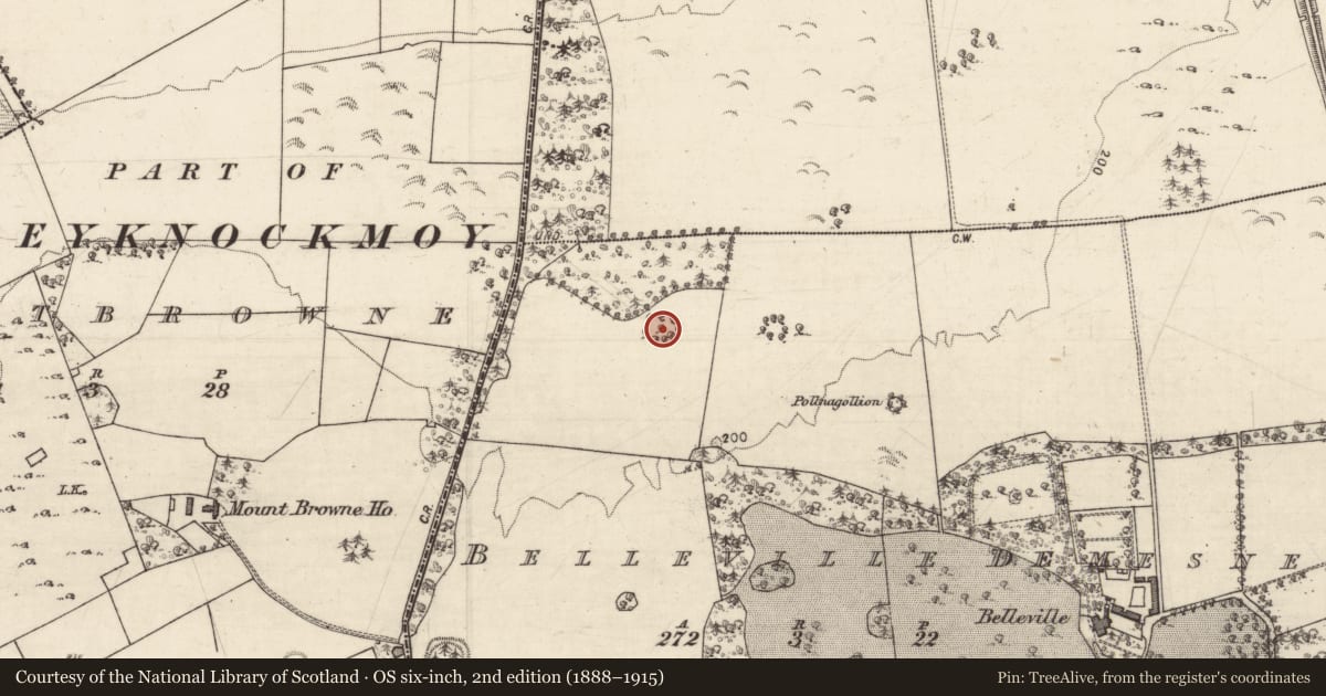 Ordnance Survey six-inch map, 2nd edition (1888–1915) covering the location of Designed landscape feature, Belleville Demesne, County Galway, with a pin at the register's coordinates