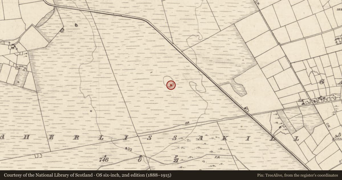 Ordnance Survey six-inch map, 2nd edition (1888–1915) covering the location of Ringfort - unclassified, Caherlissakill, County Galway, with a pin at the register's coordinates