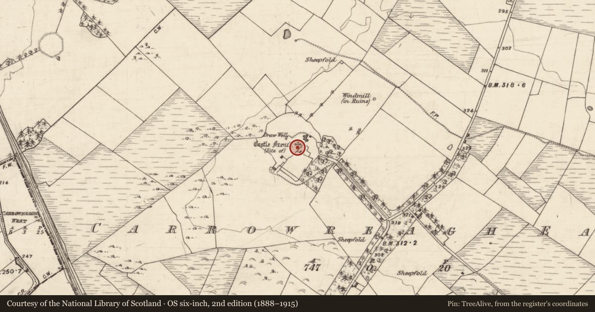 Ordnance Survey six-inch map, 2nd edition (1888–1915) covering the location of Castle - unclassified, Carrowreagh East, County Galway, with a pin at the register's coordinates