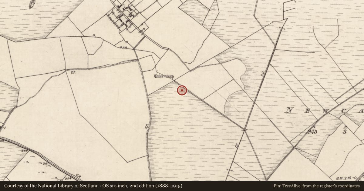 Ordnance Survey six-inch map, 2nd edition (1888–1915) covering the location of Fulacht fia, Corrantarramud, County Galway, with a pin at the register's coordinates
