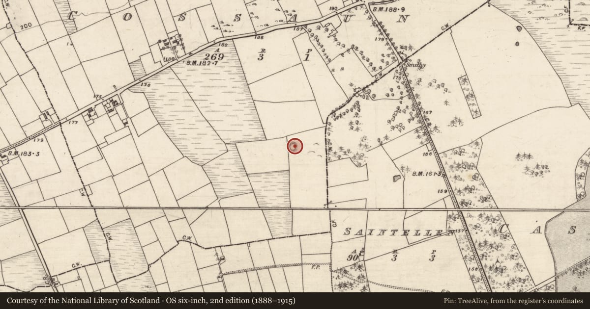 Ordnance Survey six-inch map, 2nd edition (1888–1915) covering the location of Barrow - unclassified, Cossaun, County Galway, with a pin at the register's coordinates