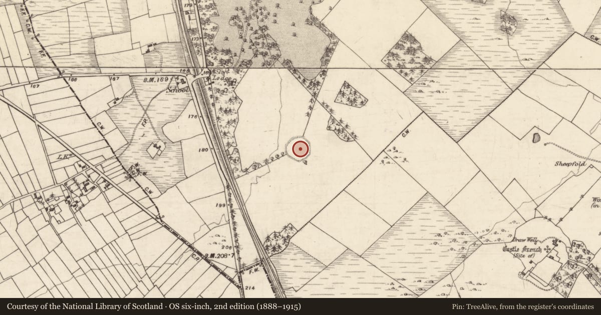 Ordnance Survey six-inch map, 2nd edition (1888–1915) covering the location of Ringfort - rath, Crumlin, County Galway, with a pin at the register's coordinates