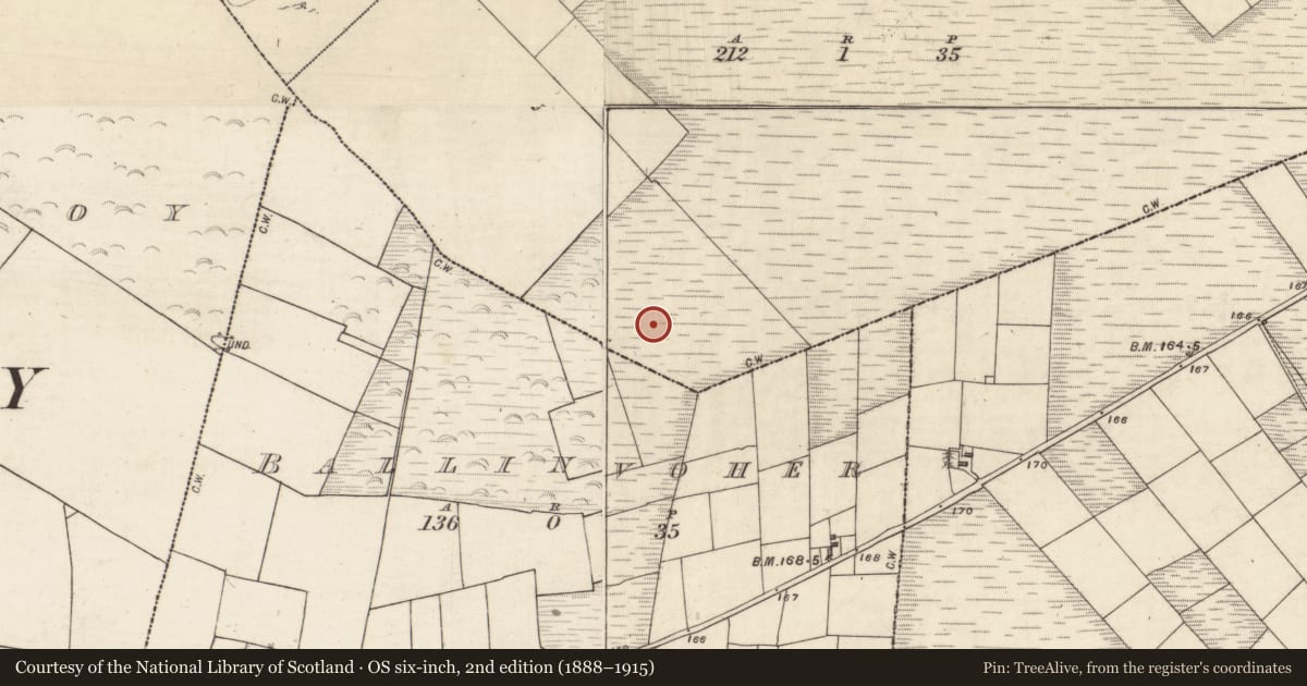 Ordnance Survey six-inch map, 2nd edition (1888–1915) covering the location of Barrow - unclassified, Garrauncreen, County Galway, with a pin at the register's coordinates