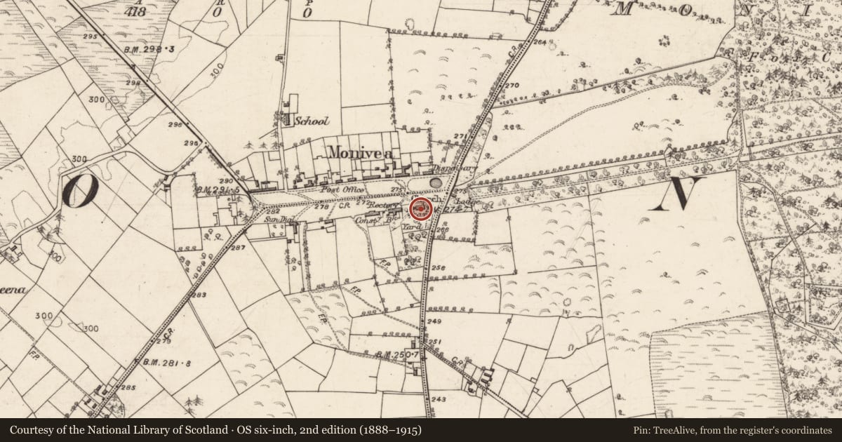 Ordnance Survey six-inch map, 2nd edition (1888–1915) covering the location of Graveyard, Glennagloghaun South, County Galway, with a pin at the register's coordinates