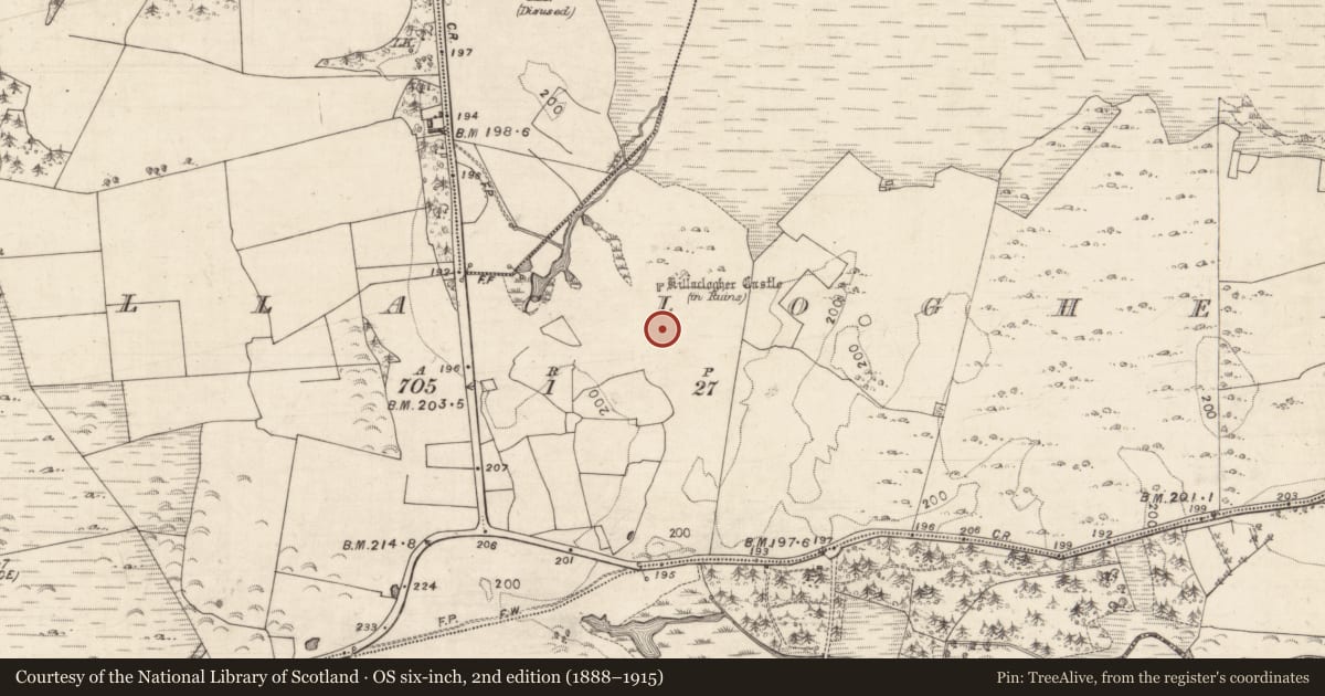 Ordnance Survey six-inch map, 2nd edition (1888–1915) covering the location of Field system, Killaclogher, County Galway, with a pin at the register's coordinates