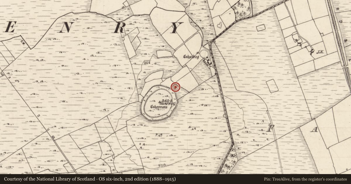 Ordnance Survey six-inch map, 2nd edition (1888–1915) covering the location of House - indeterminate date, Kilskeagh, County Galway, with a pin at the register's coordinates