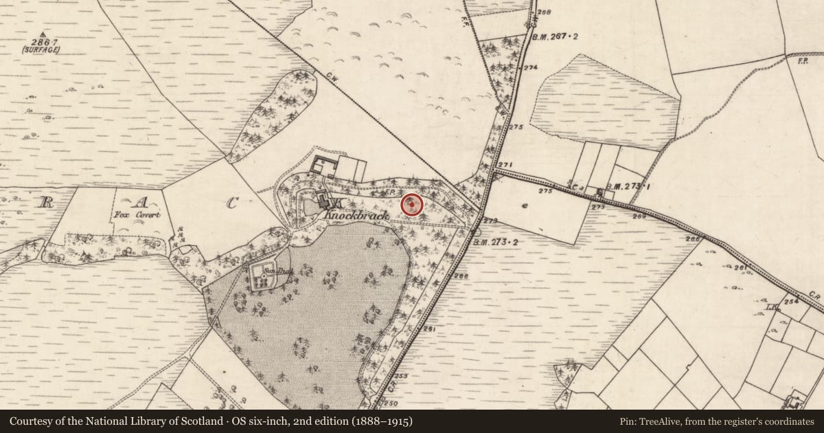 Ordnance Survey six-inch map, 2nd edition (1888–1915) covering the location of Designed landscape - tree-ring, Knockbrack, County Galway, with a pin at the register's coordinates