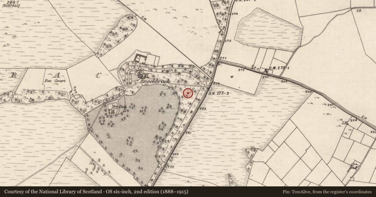 Ordnance Survey six-inch map, 2nd edition (1888–1915) covering the location of Designed landscape - tree-ring, Knockbrack, County Galway, with a pin at the register's coordinates