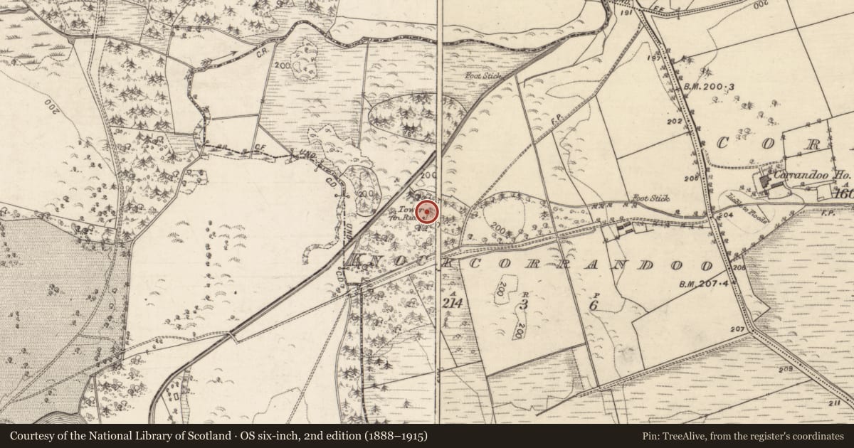 Ordnance Survey six-inch map, 2nd edition (1888–1915) covering the location of Windmill, Knockcorrandoo, County Galway, with a pin at the register's coordinates