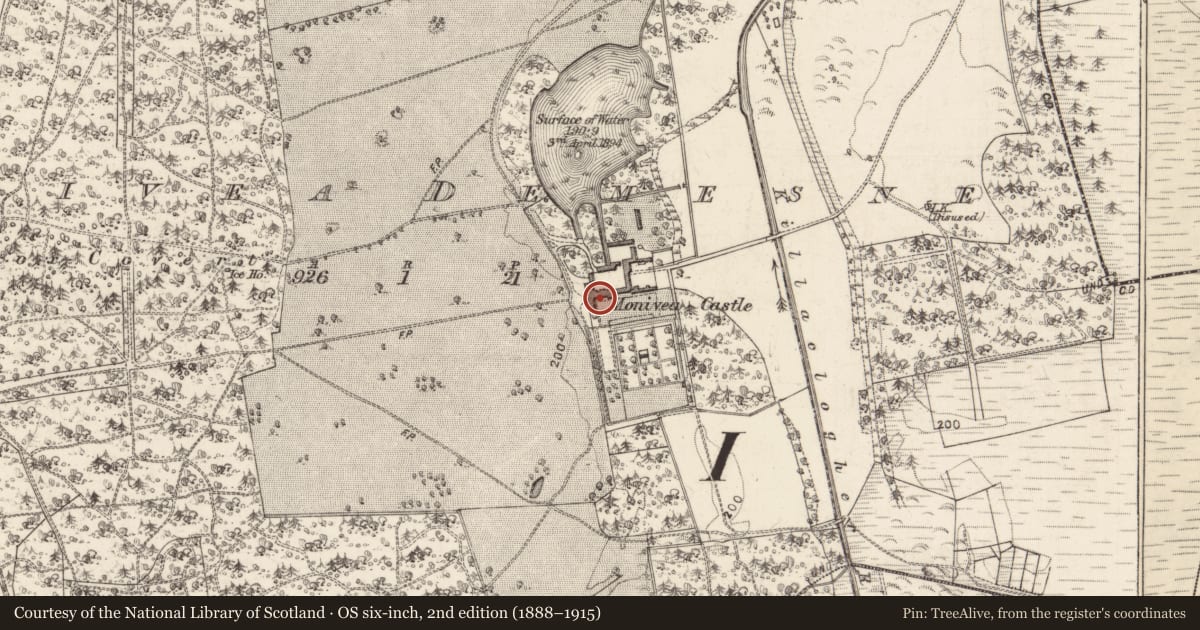 Ordnance Survey six-inch map, 2nd edition (1888–1915) covering the location of Castle - tower house, Monivea Demesne, County Galway, with a pin at the register's coordinates