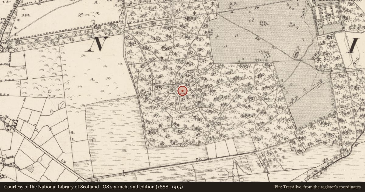 Ordnance Survey six-inch map, 2nd edition (1888–1915) covering the location of Mausoleum, Monivea Demesne, County Galway, with a pin at the register's coordinates