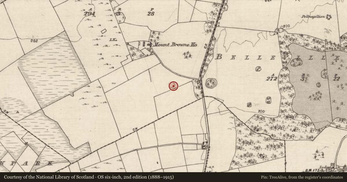 Ordnance Survey six-inch map, 2nd edition (1888–1915) covering the location of Ringfort - unclassified, Mountbrowne, County Galway, with a pin at the register's coordinates