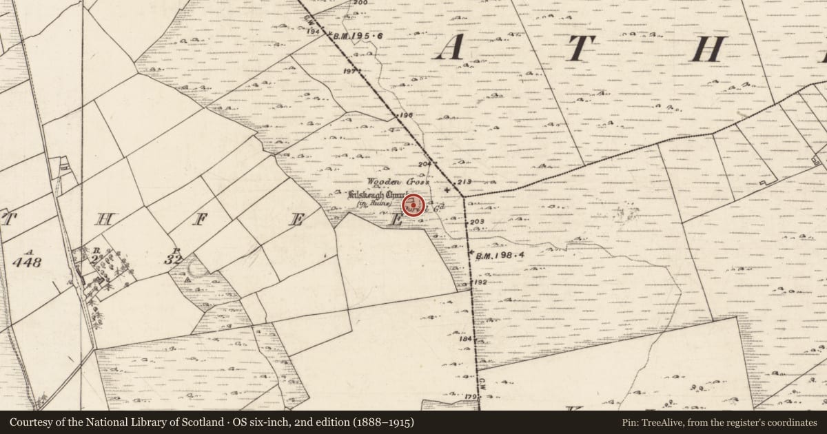 Ordnance Survey six-inch map, 2nd edition (1888–1915) covering the location of Graveyard, Rathfee, County Galway, with a pin at the register's coordinates
