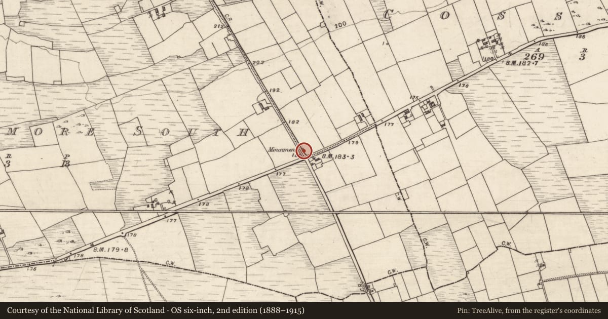 Ordnance Survey six-inch map, 2nd edition (1888–1915) covering the location of Leacht cuimhne, Sheeaunpark, County Galway, with a pin at the register's coordinates