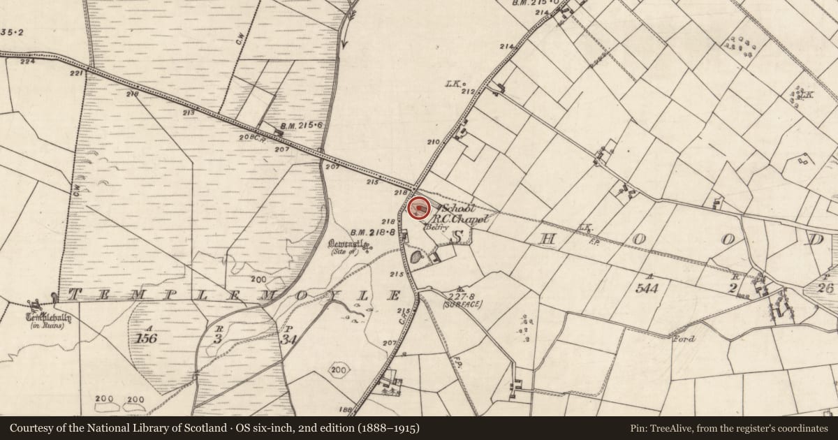 Ordnance Survey six-inch map, 2nd edition (1888–1915) covering the location of Sheela-na-gig (present location), Shoodaun, County Galway, with a pin at the register's coordinates