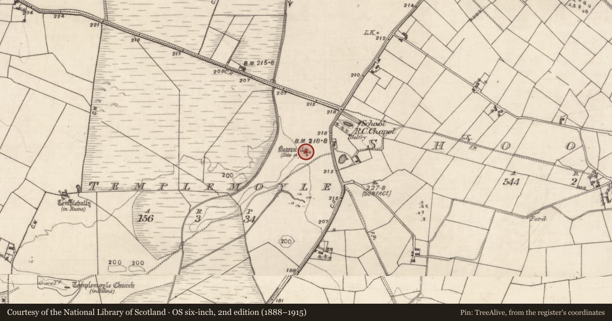 Ordnance Survey six-inch map, 2nd edition (1888–1915) covering the location of Castle - unclassified, Templemoyle, County Galway, with a pin at the register's coordinates