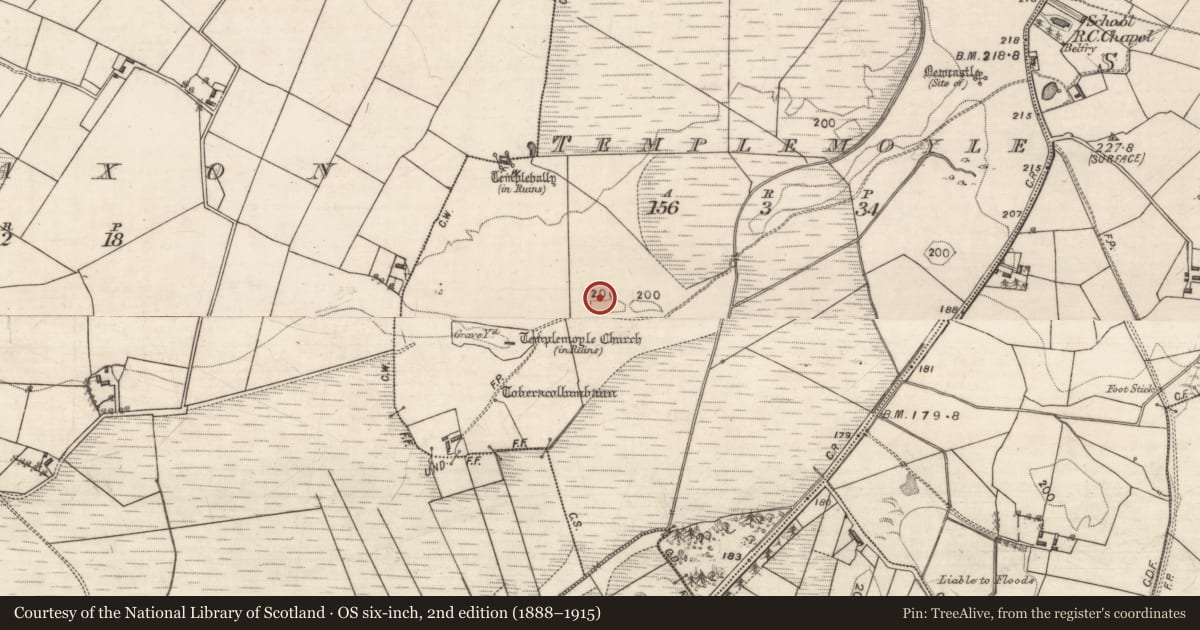 Ordnance Survey six-inch map, 2nd edition (1888–1915) covering the location of Burial ground, Templemoyle, County Galway, with a pin at the register's coordinates