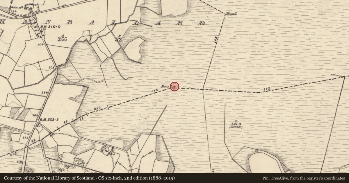 Ordnance Survey six-inch map, 2nd edition (1888–1915) covering the location of Boundary mound, Caltraghbreedy, Shanballard, County Galway, with a pin at the register's coordinates