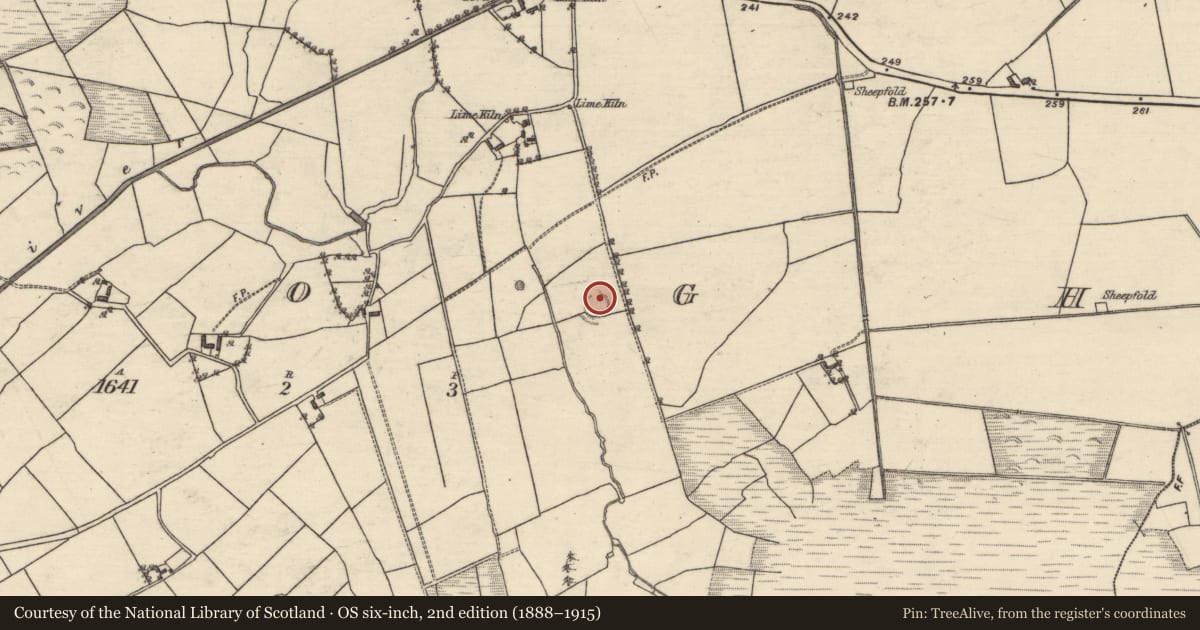 Ordnance Survey six-inch map, 2nd edition (1888–1915) covering the location of Ringfort - unclassified, Clogh, County Galway, with a pin at the register's coordinates