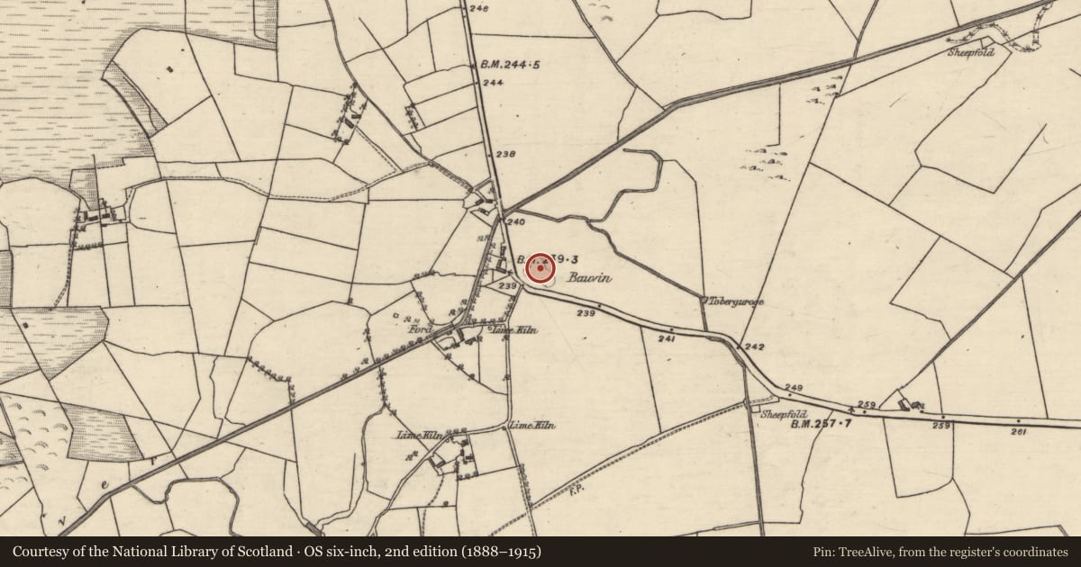 Ordnance Survey six-inch map, 2nd edition (1888–1915) covering the location of Souterrain, Clogh, County Galway, with a pin at the register's coordinates