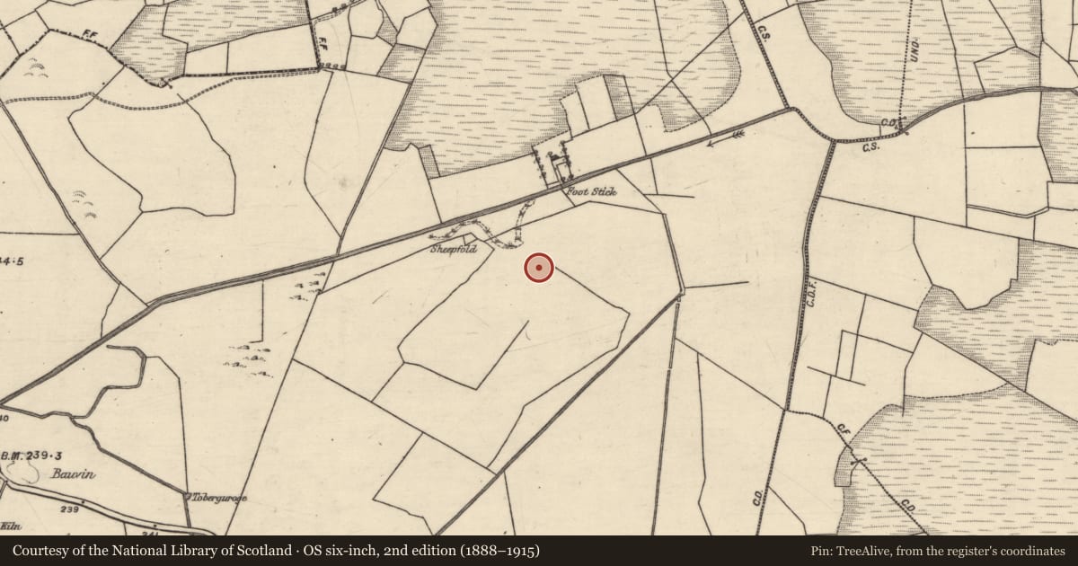 Ordnance Survey six-inch map, 2nd edition (1888–1915) covering the location of Children's burial ground, Clogh, County Galway, with a pin at the register's coordinates