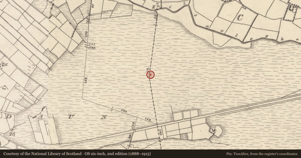 Ordnance Survey six-inch map, 2nd edition (1888–1915) covering the location of Boundary mound, Clogh, Cormacuagh West, County Galway, with a pin at the register's coordinates