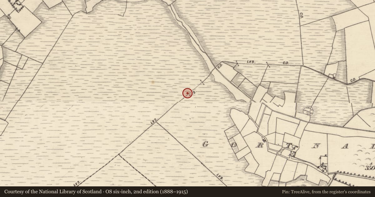 Ordnance Survey six-inch map, 2nd edition (1888–1915) covering the location of Boundary mound, Clogh, Gortnalone North, County Galway, with a pin at the register's coordinates
