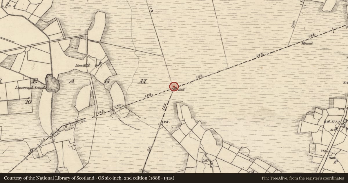 Ordnance Survey six-inch map, 2nd edition (1888–1915) covering the location of Boundary mound, County Galway, with a pin at the register's coordinates
