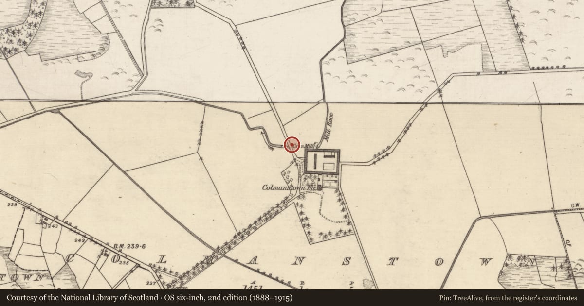 Ordnance Survey six-inch map, 2nd edition (1888–1915) covering the location of Mill - corn, Colmanstown, County Galway, with a pin at the register's coordinates