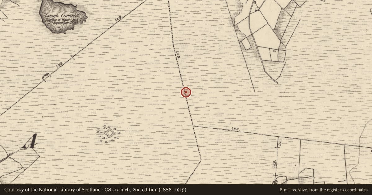 Ordnance Survey six-inch map, 2nd edition (1888–1915) covering the location of Boundary mound, Colmanstown, Derroogh, County Galway, with a pin at the register's coordinates